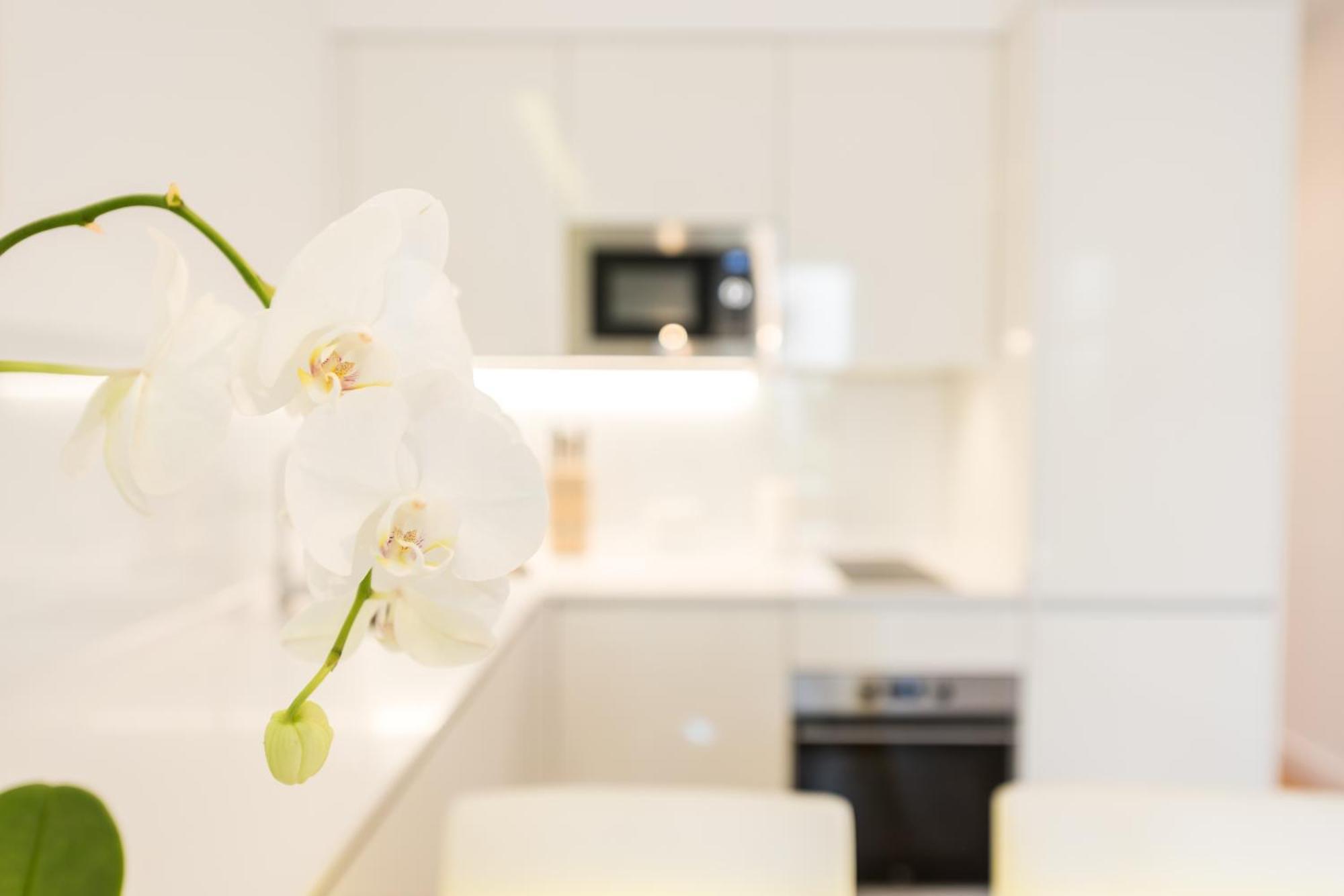 Malasana Plaza Apartment มาดริด ภายนอก รูปภาพ